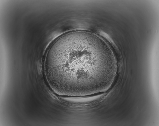 X0000086241260200704051211