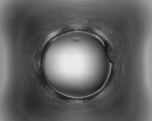 X0000086241261200704051211