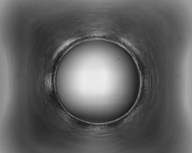 X0000086241262200704051211