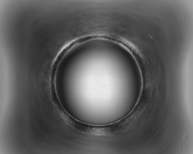 X0000086241264200704051211