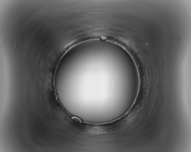 X0000086241265200704051211