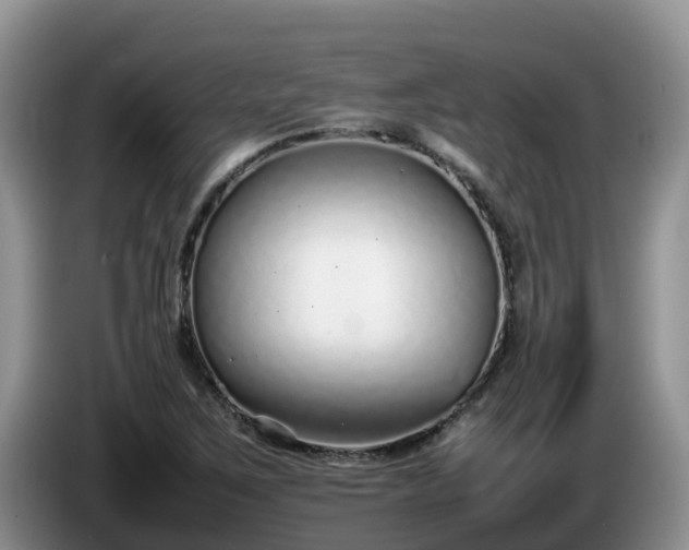 X0000086241267200704051211