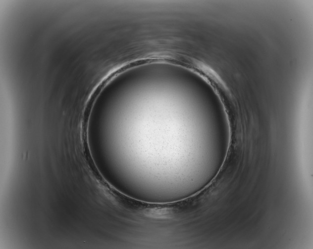 X0000086241268200704051211