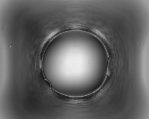 X0000086241269200704051211