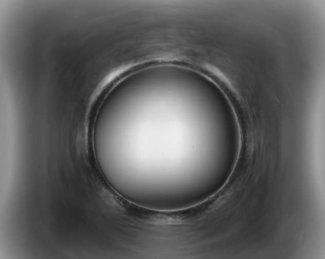 X0000086241270200704051211