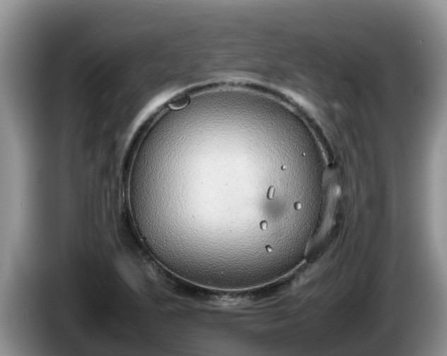 X0000086241271200704051211