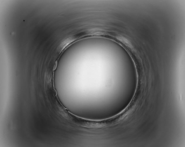 X0000086241273200704051211