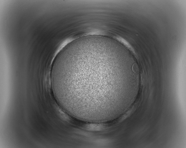 X0000086241274200704051211