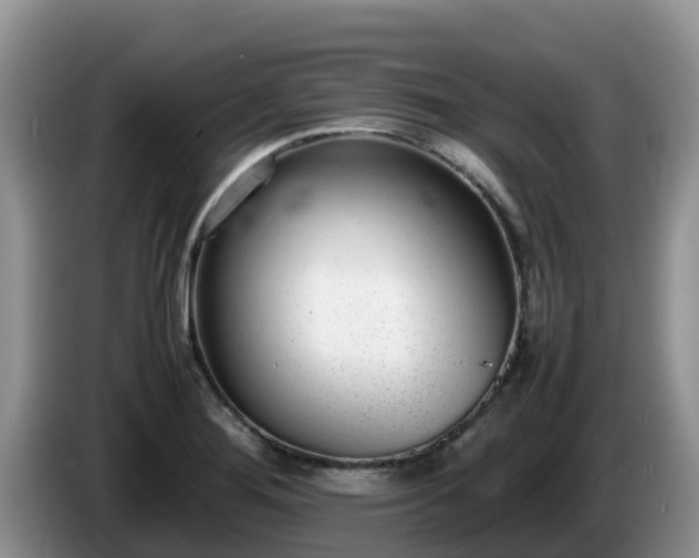 X0000086241276200704051211