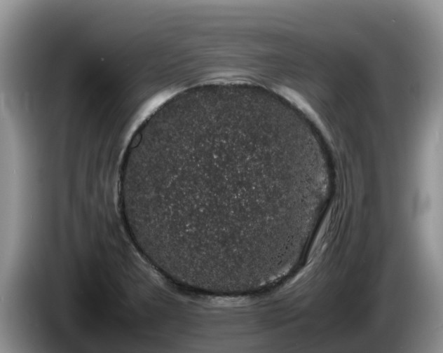 X0000086241277200704051211