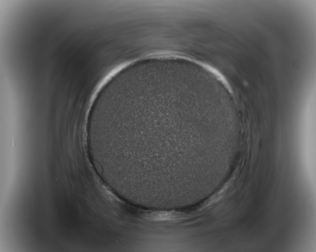 X0000086241279200704051211