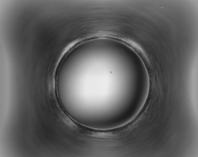 X0000086241280200704051211