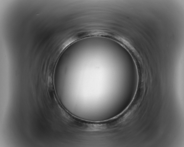 X0000086241281200704051211