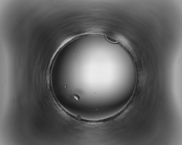 X0000086241284200704051211