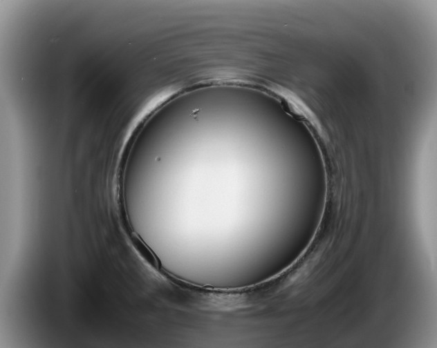 X0000086241285200704051211