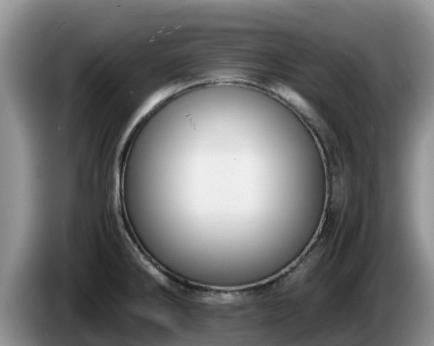 X0000086241286200704051211
