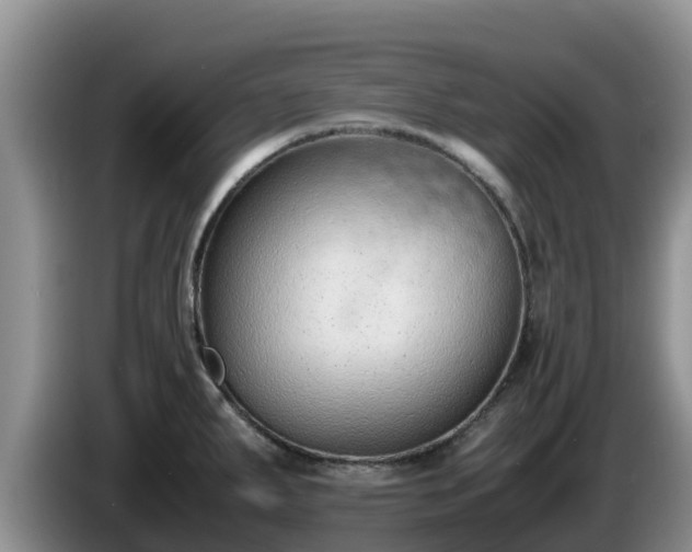 X0000086241287200704051211