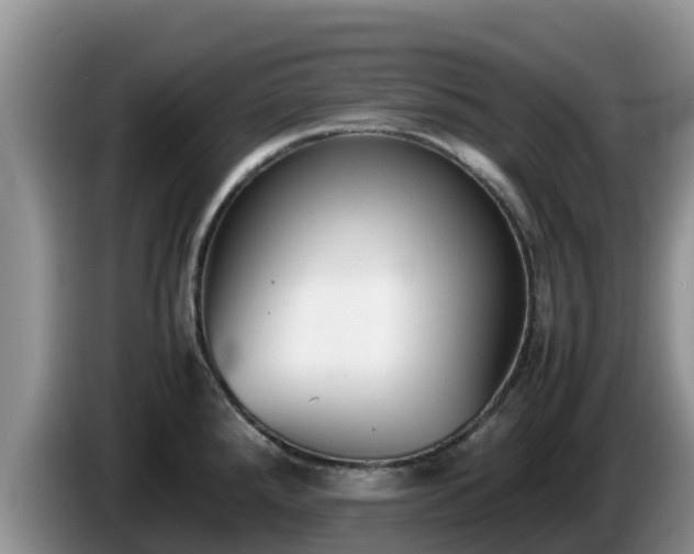 X0000086241288200704051211