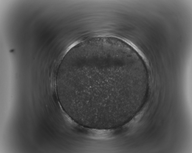 X0000086241289200704051211