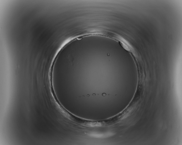 X0000086241291200704051211