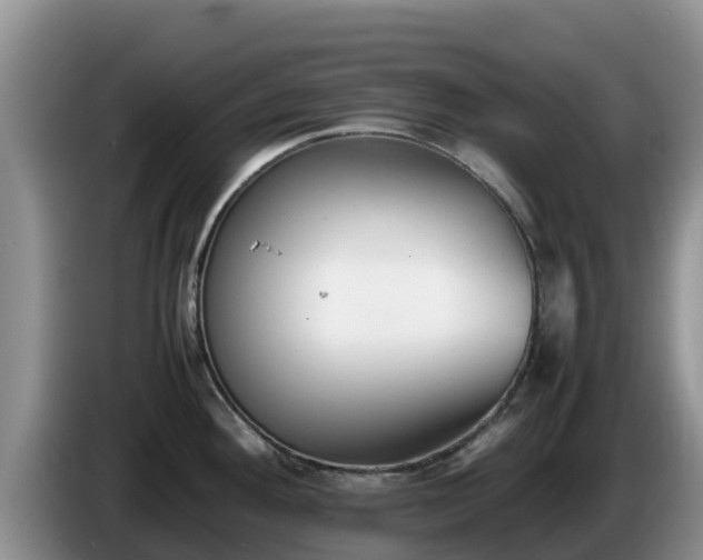 X0000086241292200704051211