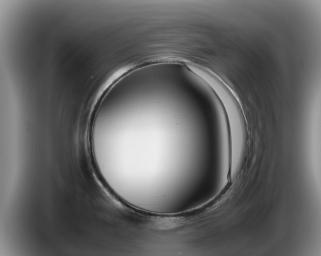 X0000086241293200704051210