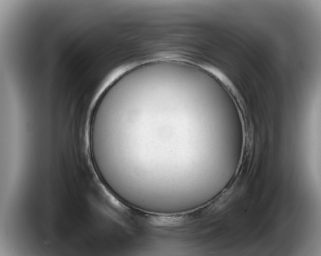 X0000086241294200704051210