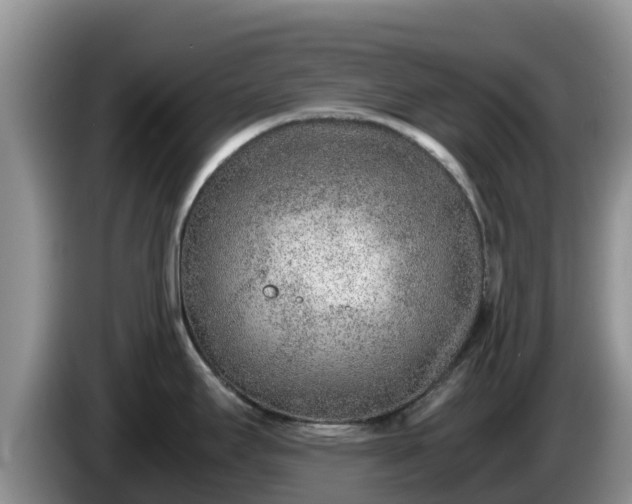 X0000086241295200704051210
