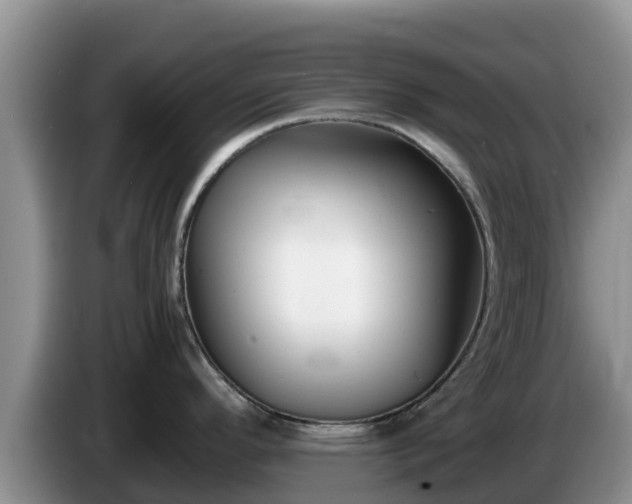 X0000086241296200704051210