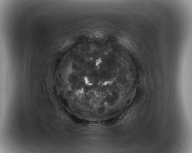 X0000086241297200704051210