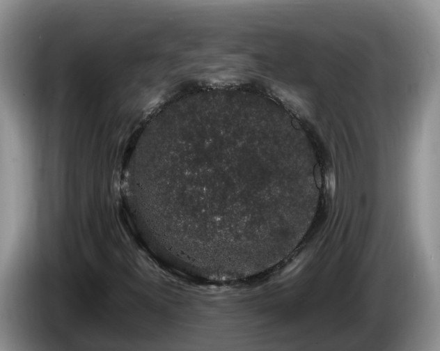X0000086241300200704051210