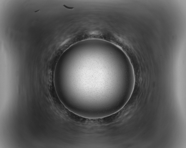X0000086241301200704051210