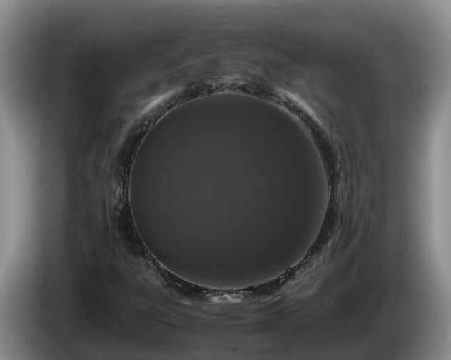 X0000086241303200704051210