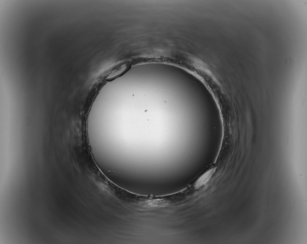 X0000086241304200704051210