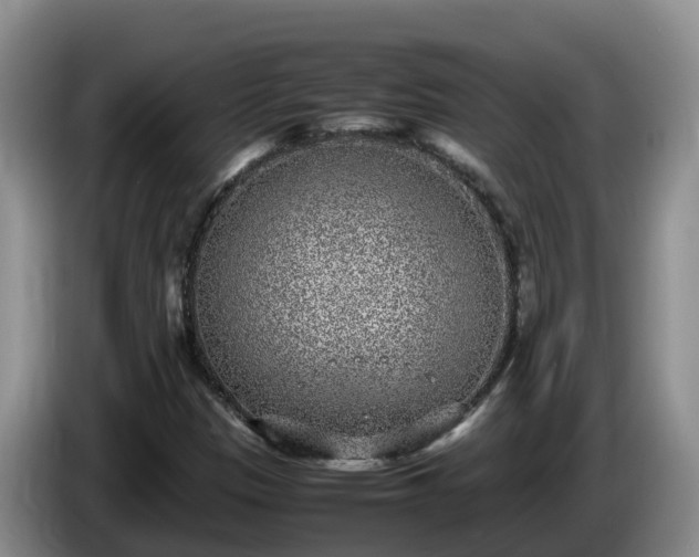 X0000086241305200704051210