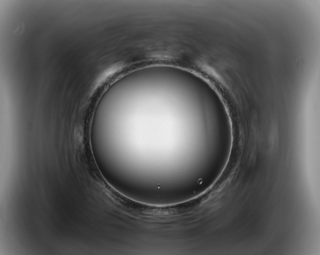X0000086241307200704051210