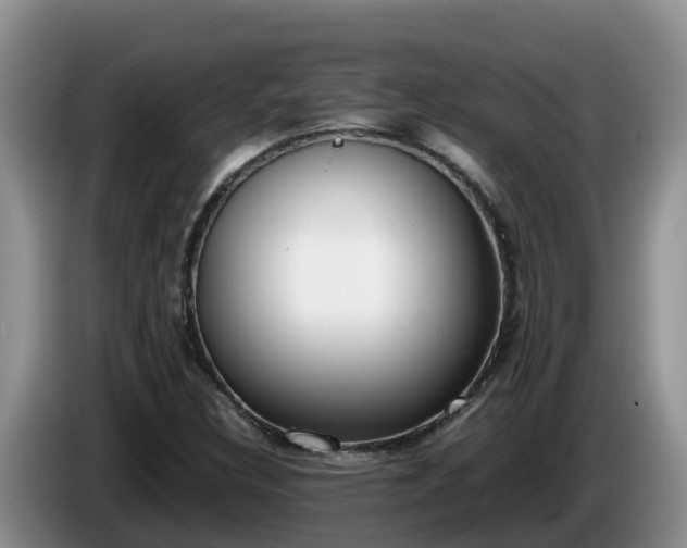 X0000086241308200704051210