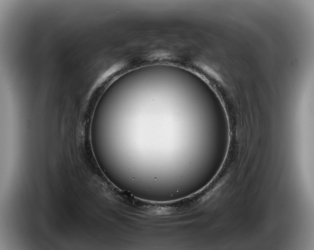 X0000086241309200704051210