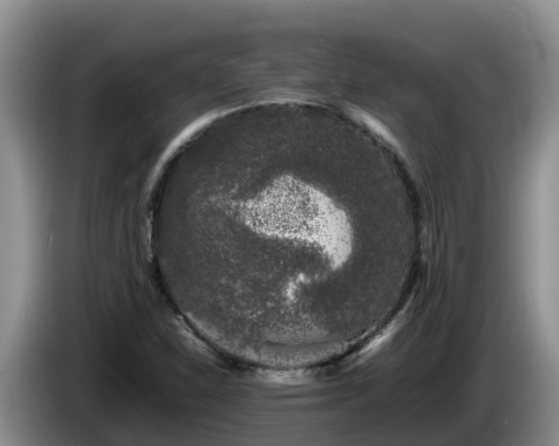 X0000086241310200704051210