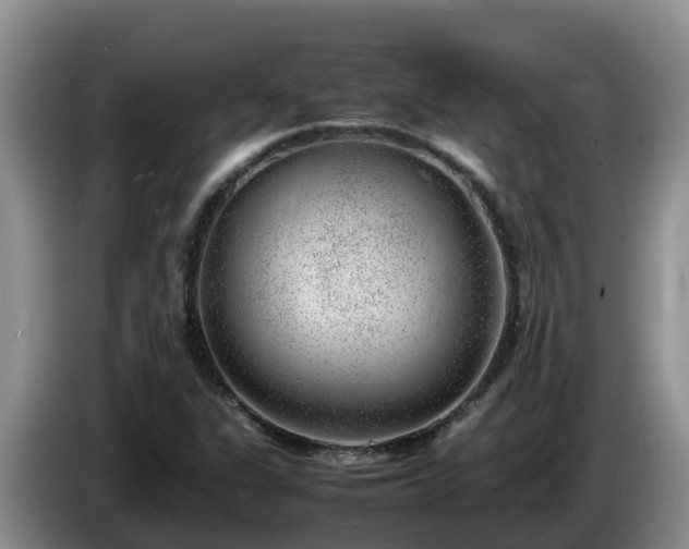 X0000086241311200704051210
