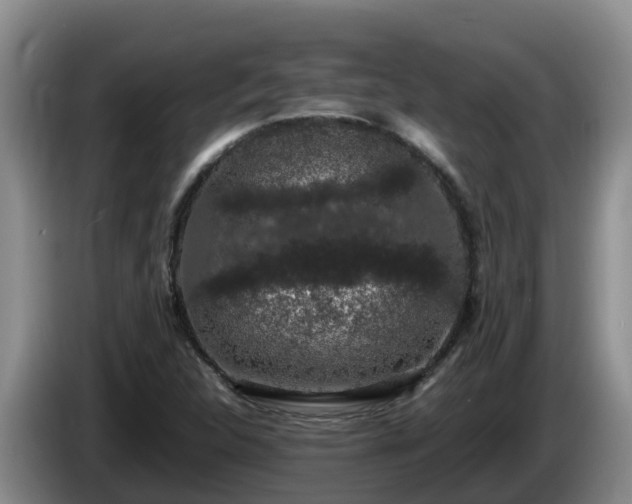 X0000086241312200704051210