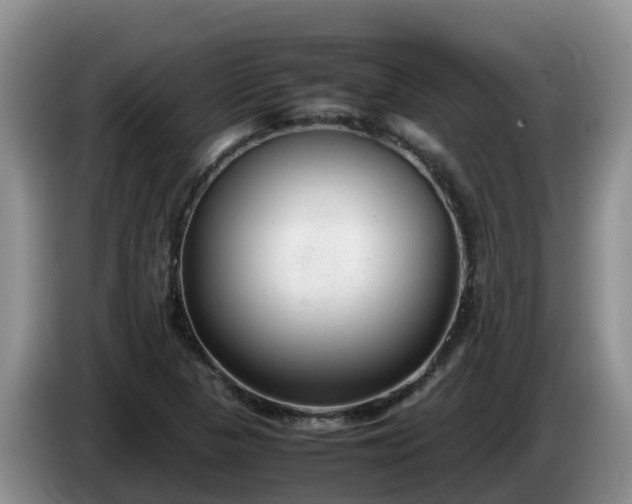 X0000086241313200704051210