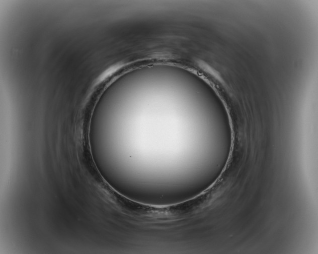 X0000086241315200704051210