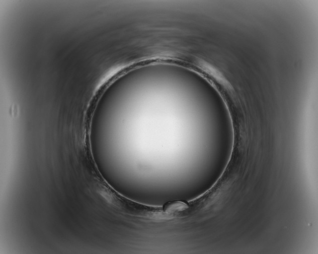 X0000086241316200704051210