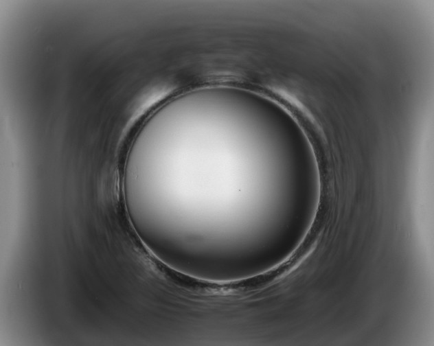 X0000086241317200704051210