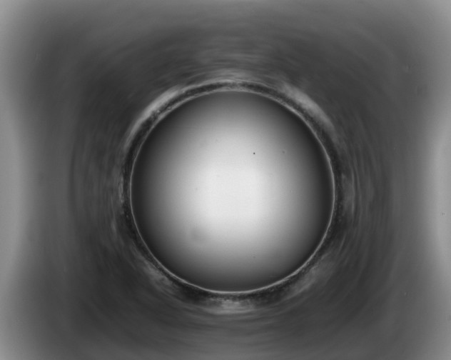 X0000086241318200704051210