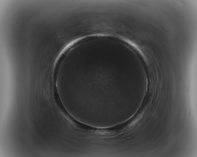 X0000086241319200704051210