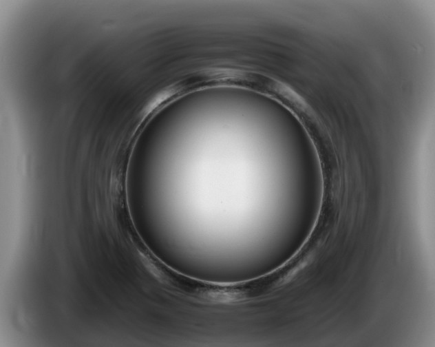 X0000086241321200704051210
