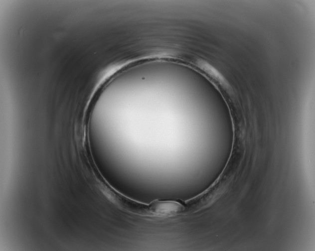 X0000086241324200704051210