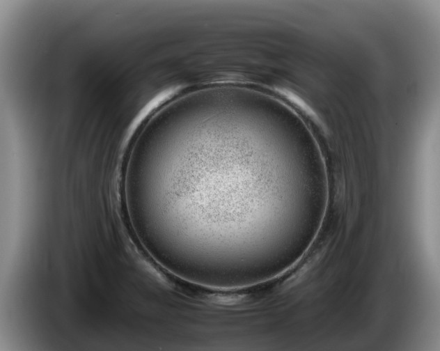 X0000086241325200704051210